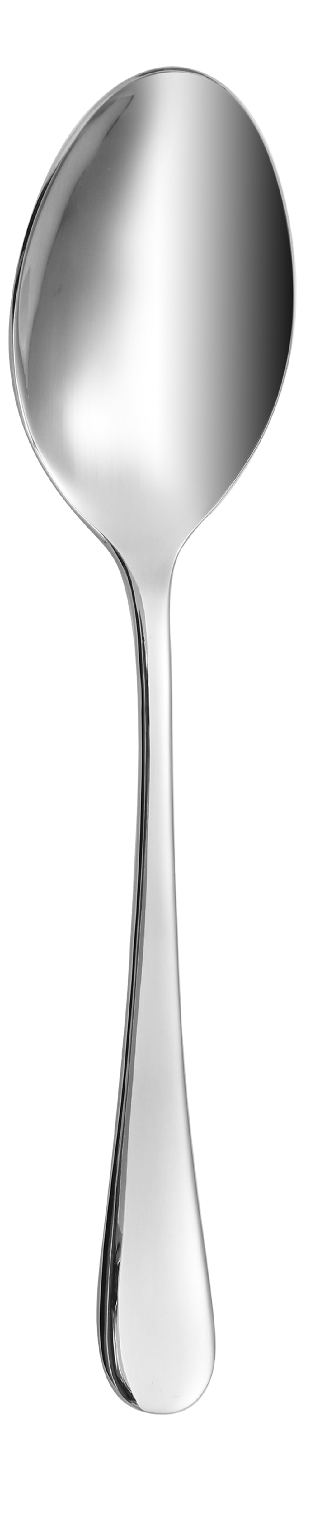 Dolphy Helena Stainless Steel Coffee Spoon 112mm – 304 Grade (Pack of 12)