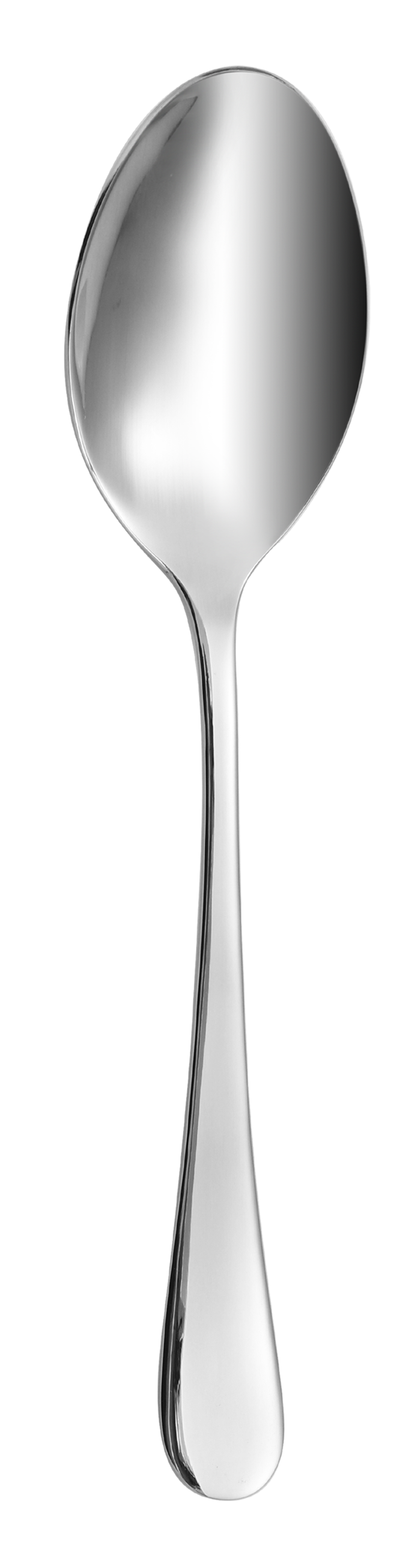 Dolphy Helena Stainless Steel Tea Spoon 146mm – 304 Grade (Pack of 12)