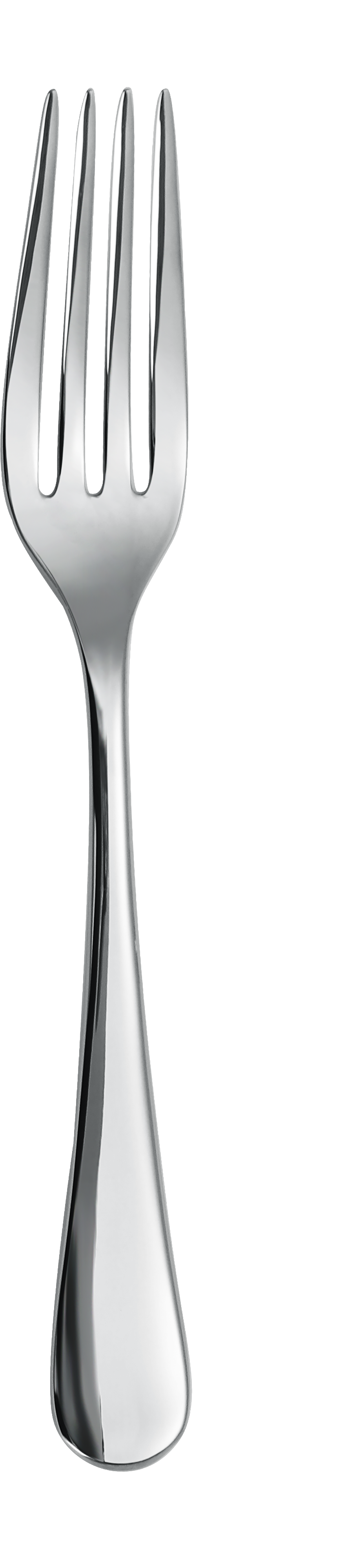 Dolphy Birmingham Stainless Steel Table Fork 201mm – 304 Grade (Pack of 12)