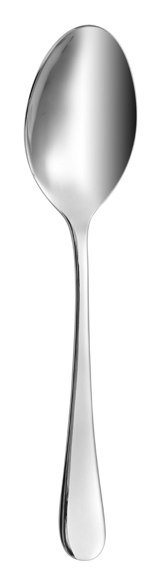 Dolphy Helena Stainless Steel Table Spoon 209mm – 304 Grade (Pack of 12)