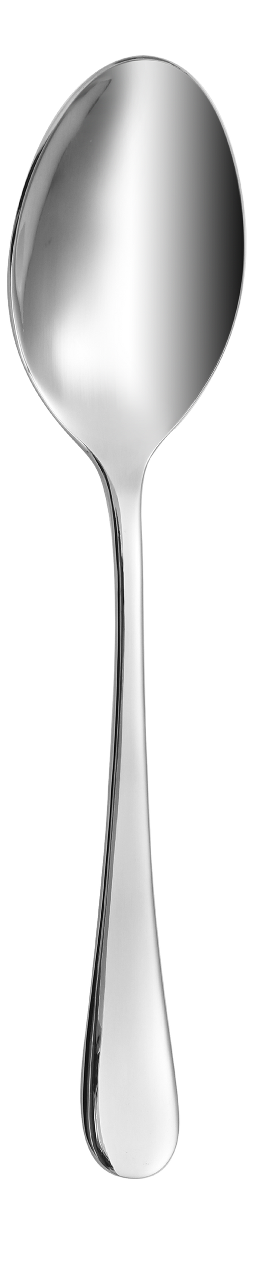 Dolphy Helena Stainless Steel Coffee Spoon 112mm – 304 Grade (Pack of 12)