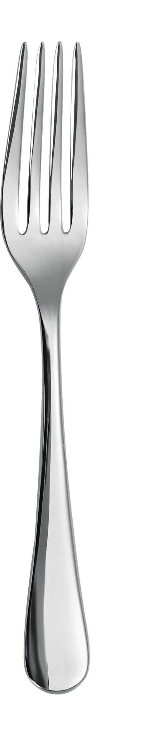 Dolphy Birmingham Stainless Steel Table Fork 201mm – 304 Grade (Pack of 12)